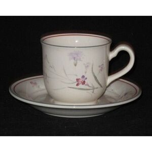 Noritake Keltcraft‎ River Oaks Teacup Cup & Saucer Set (s) Ireland